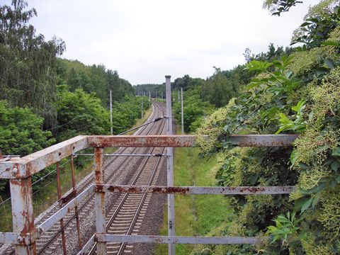 Foto 21